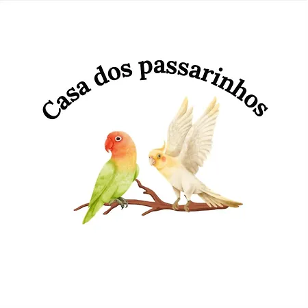 Casa Dos Passarinho's , Daire